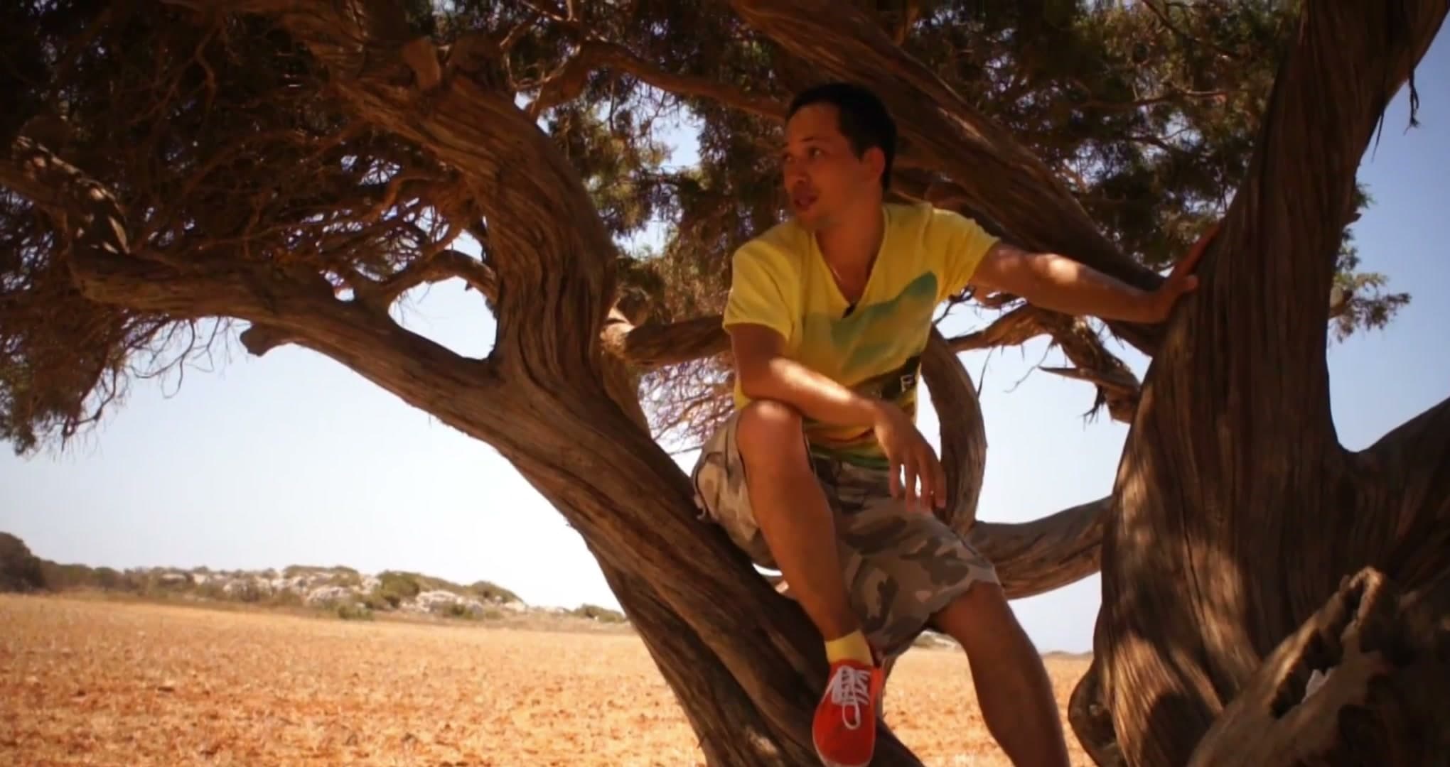 Топ-5 ошибок